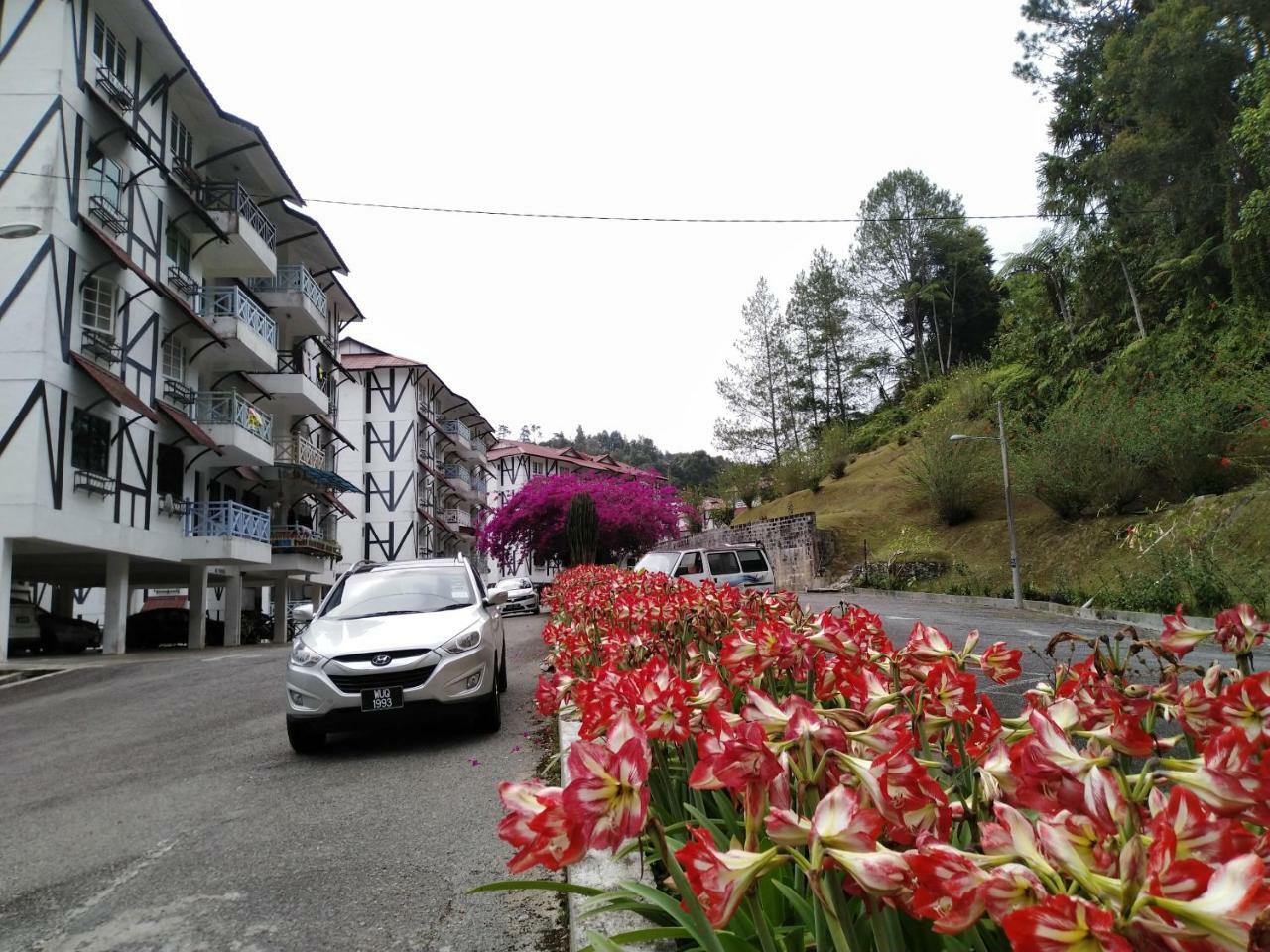 Apartamento Desa Anthurium Cameron Highlands Exterior foto