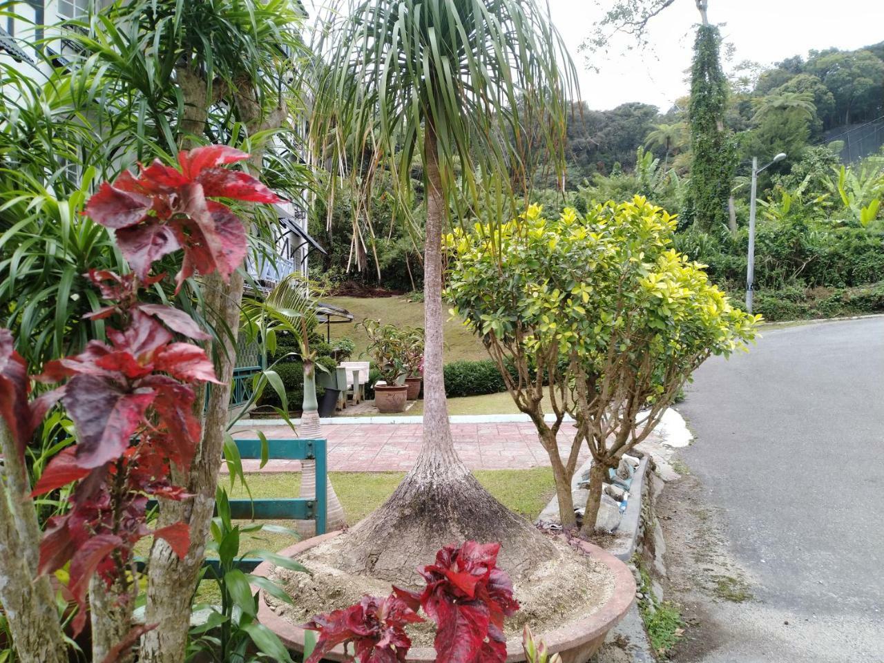 Apartamento Desa Anthurium Cameron Highlands Exterior foto